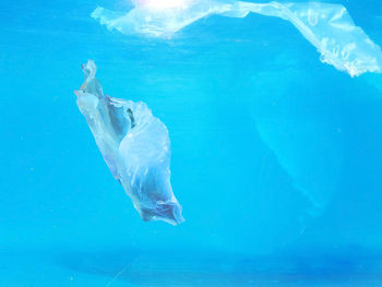 Plastic waste floating in the water