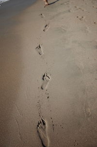 High angle view of footprints on wet sand