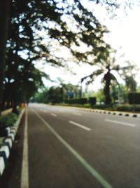 Surface level of road along trees