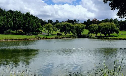 Scenic view of lake by trees against sky