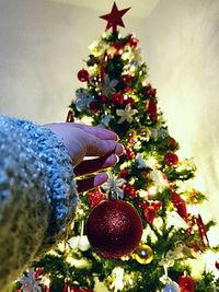 Person holding christmas tree