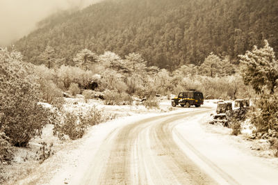 Road amidst trees during winter