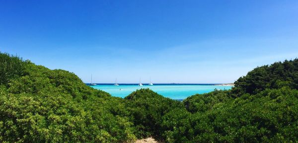 Scenic view of sea against clear sky