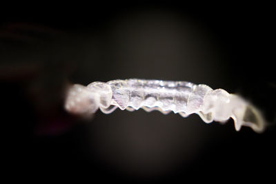 Close-up of smoke against black background