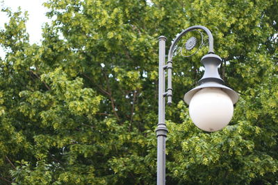 Lamp post against tree