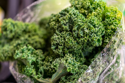 Close-up of vegetables