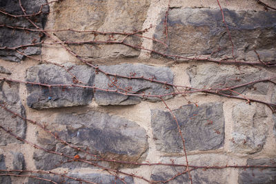 Full frame shot of cracked wall