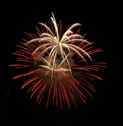 Low angle view of firework display against sky at night