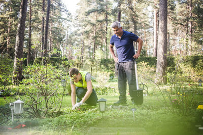 Male instructor watching trainee planting against trees at garden