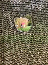Close-up of a hole of tree