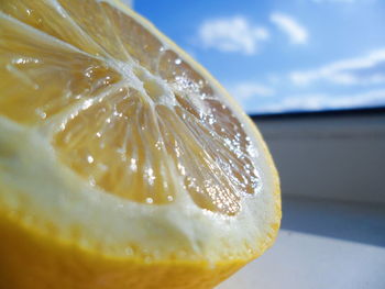 Close-up of lemon slice