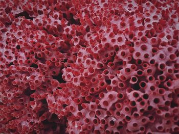 Full frame shot of red fabric