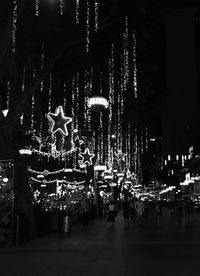 View of illuminated trees at night