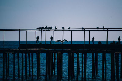 Silhouette people on pier at beach against clear sky