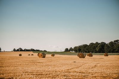 Hay bales on field against sky