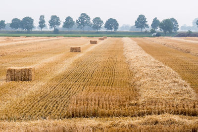 Hay bales on field against sky