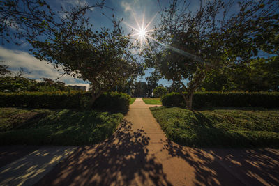 Road by trees against sky