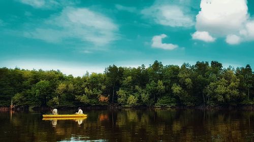 Scenic view of lake by trees against sky