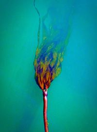 Close-up of blue background