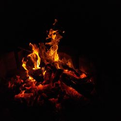 Close-up of bonfire at night