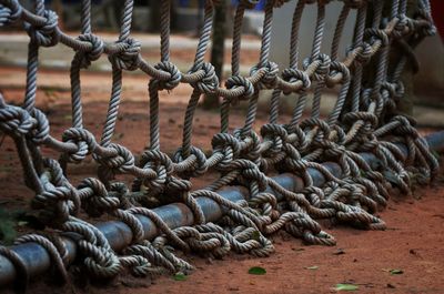 Close-up of metal fence