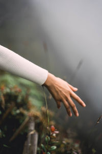 Close-up of hand touching plant