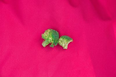 Directly above shot of broccolis on pink fabric