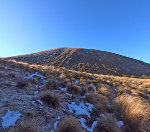 wilderness