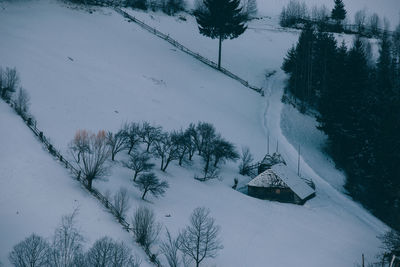 High angle view of trees on snow covered landscape