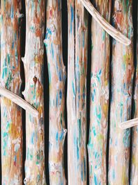 Full frame shot of multi colored pencils in store