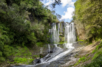 View of waterfall in forest