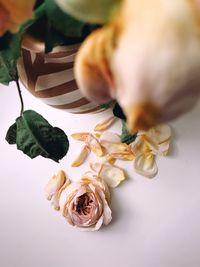 Close-up of rose on table
