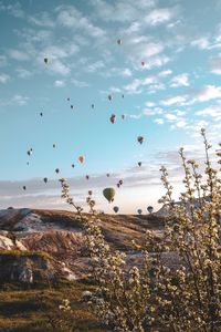 Low angle view of hot air balloons flying in sky