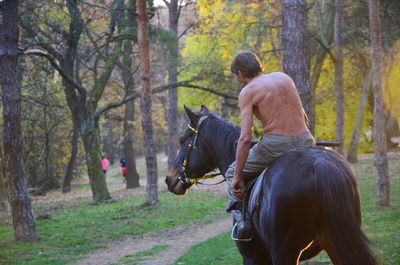 Rear view of man riding horse in forest