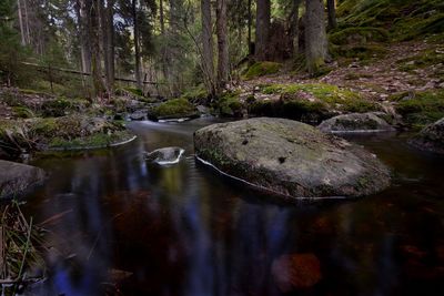 Stream flowing through rocks in forest