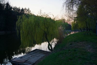 Panoramic shot of river amidst trees against clear sky