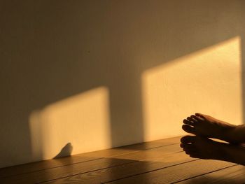 Shadow of hand on wall at home