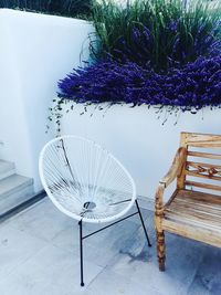 Purple flowers on table