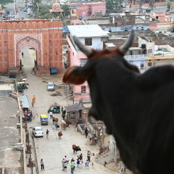 High angle view of people on street in city