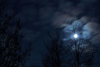 Low angle view of bare tree against moon at night