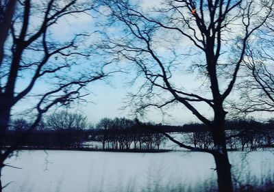 Low angle view of bare trees against sky