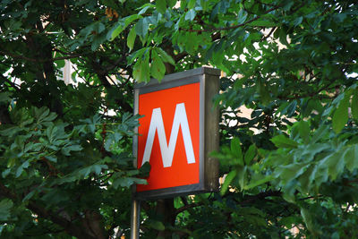 Close-up of information sign against trees