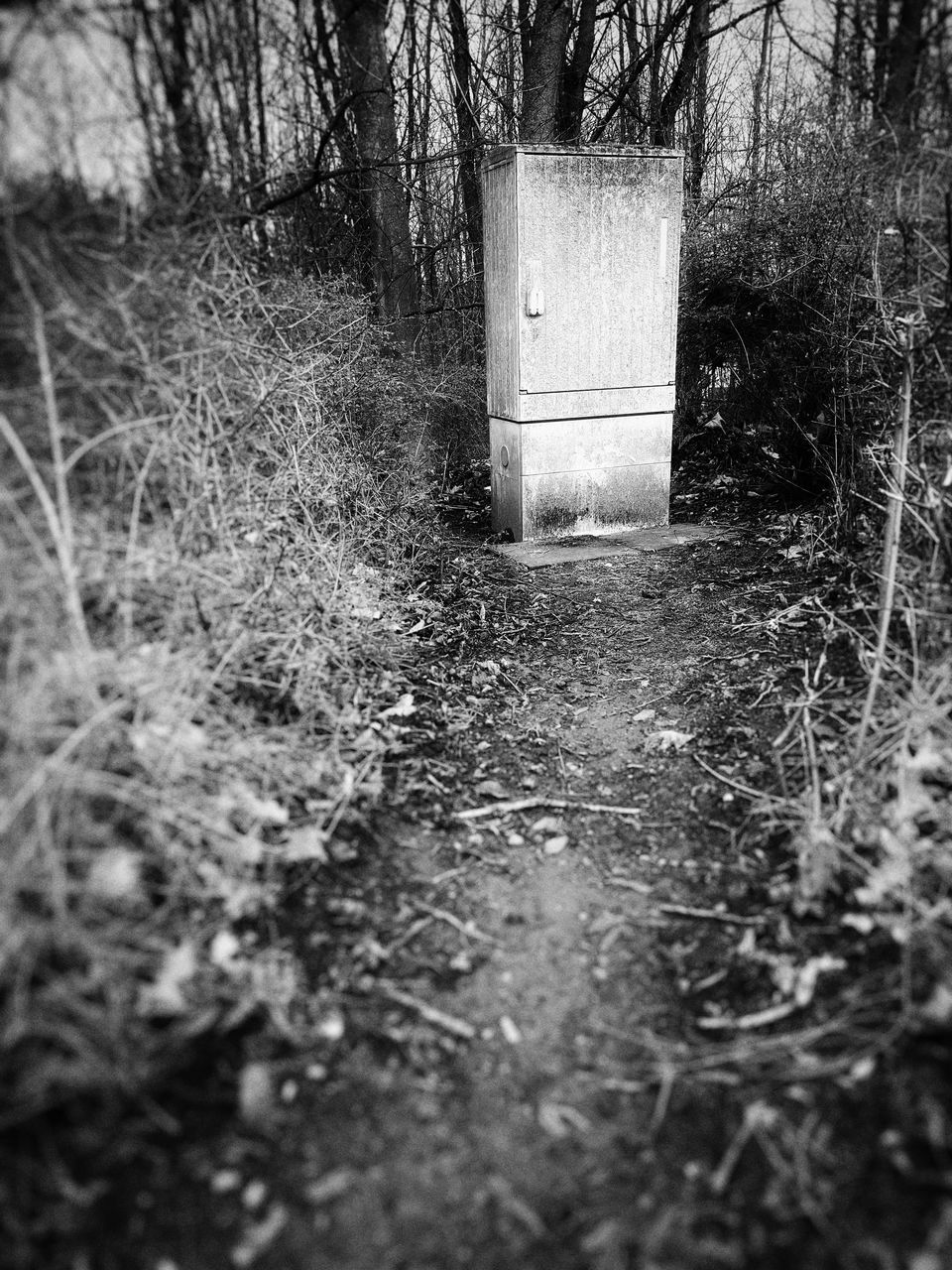 VIEW OF ABANDONED HOUSE