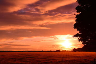 Scenic view of field against sky during sunset
