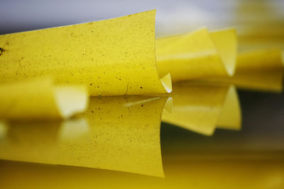 Close-up of yellow juice on table