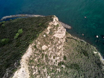 High angle view of lizard on rock