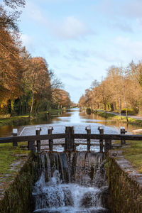 Scenic view of trees against sky