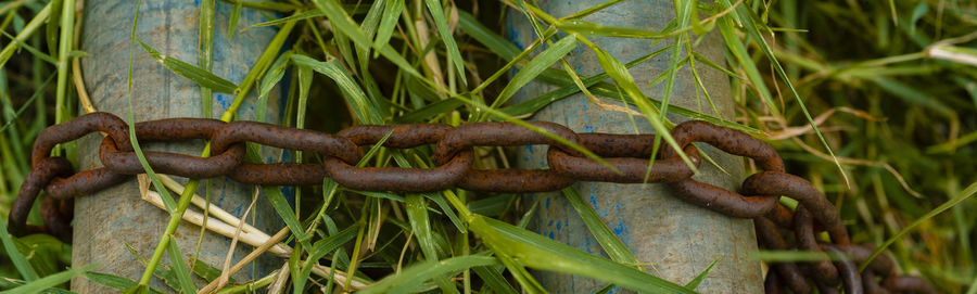 Close-up of rusty metal on field