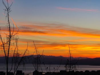 Silhouette cranes against sky during sunset