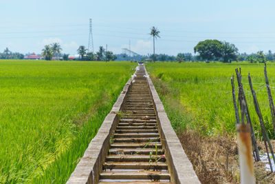 Railroad track amidst field against sky